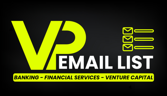 VP Email List Banking, Financial Services and Venture Capital - US