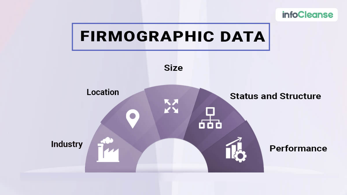firmographic data